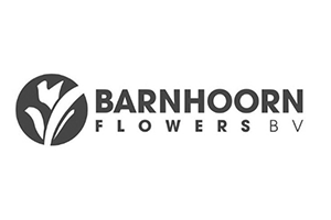 barnhoorn-flowers.png